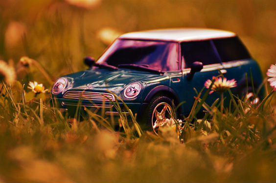 mini grass orange 564